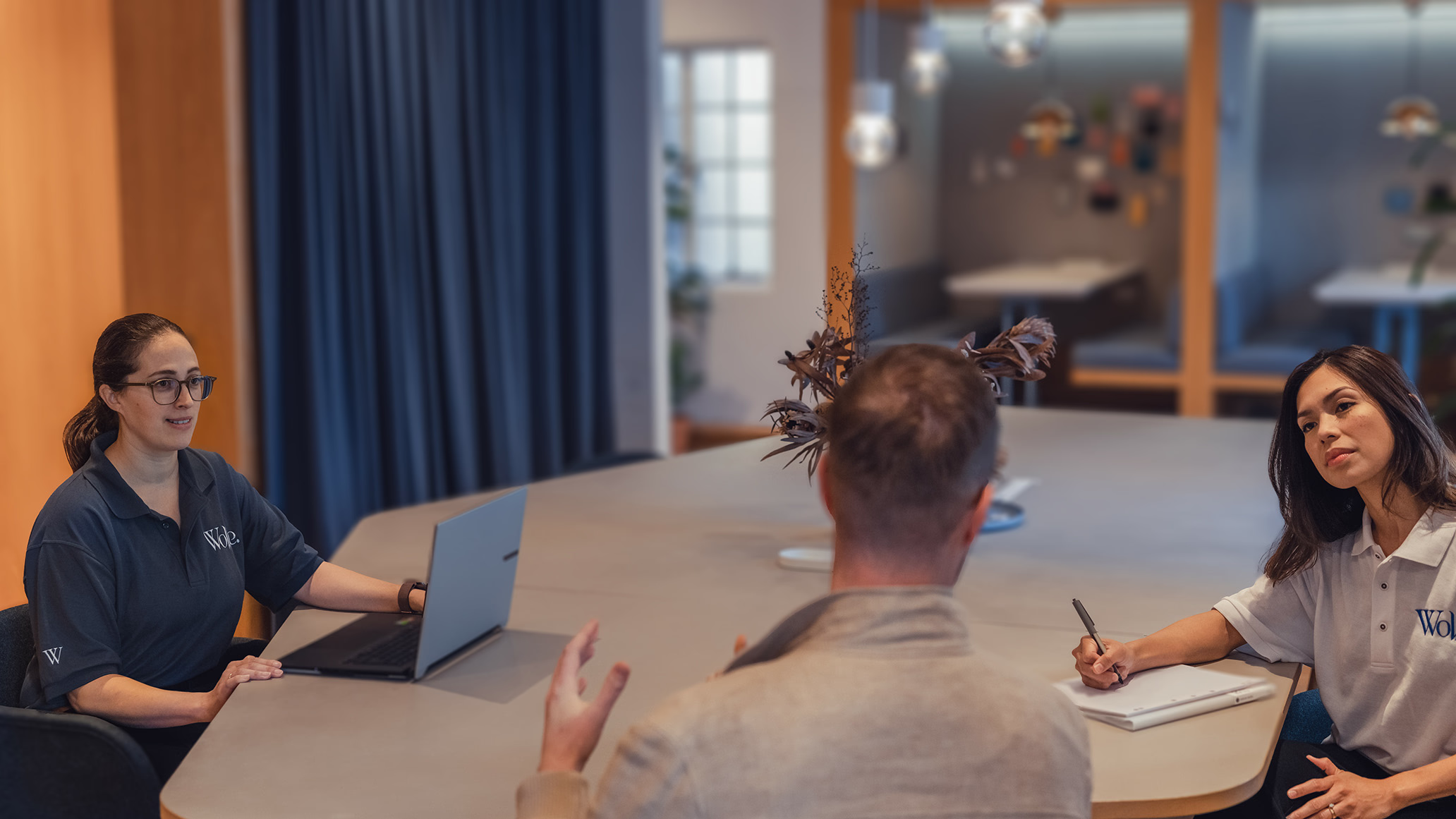 telos operating model — insights identified